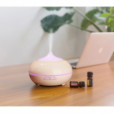 เครื่องทำความชื้น Mood light มินิ DD-10148
